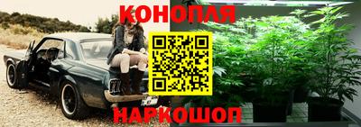 шишки Моздок