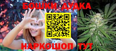 шишки Моздок