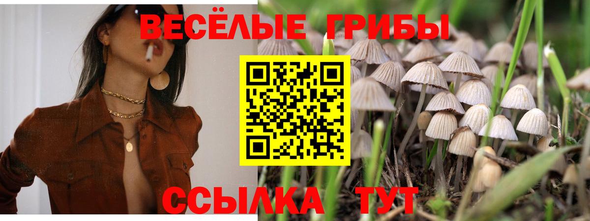 Галлюциногенные грибы GOLDEN TEACHER  Галлюциногенные грибы Cubensis  Вязьма  Вход с VPN 